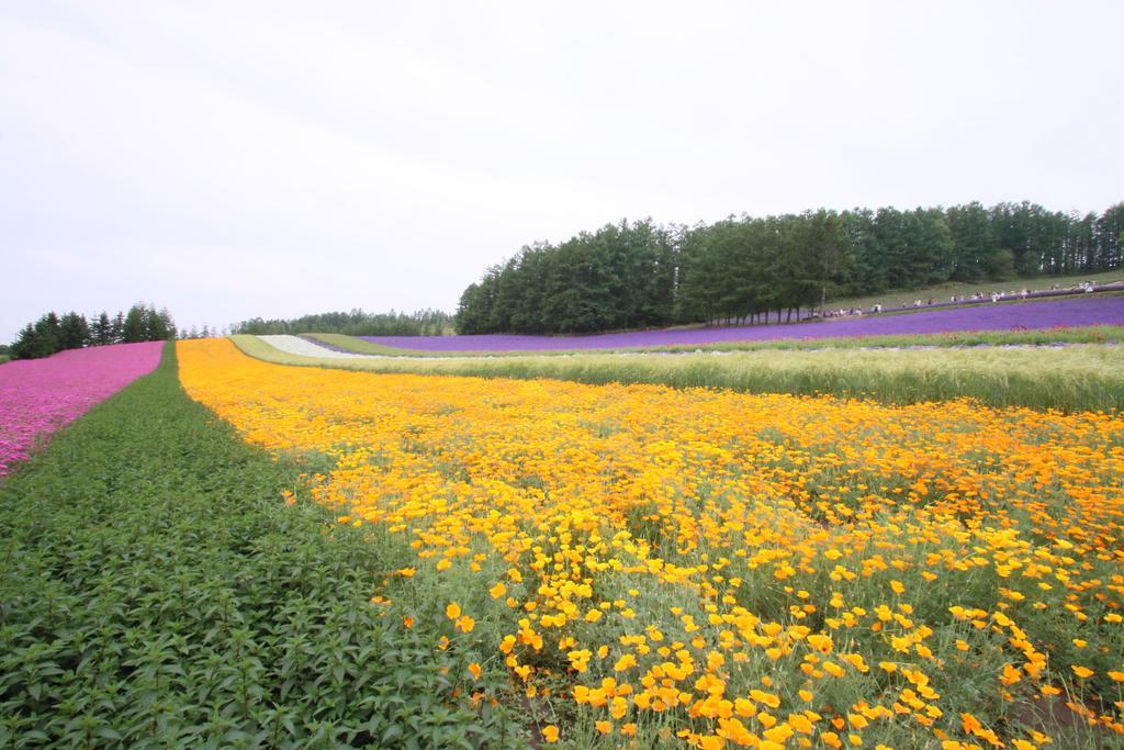 Hotel Furano Shiyuirin Kamifurano Exteriér fotografie